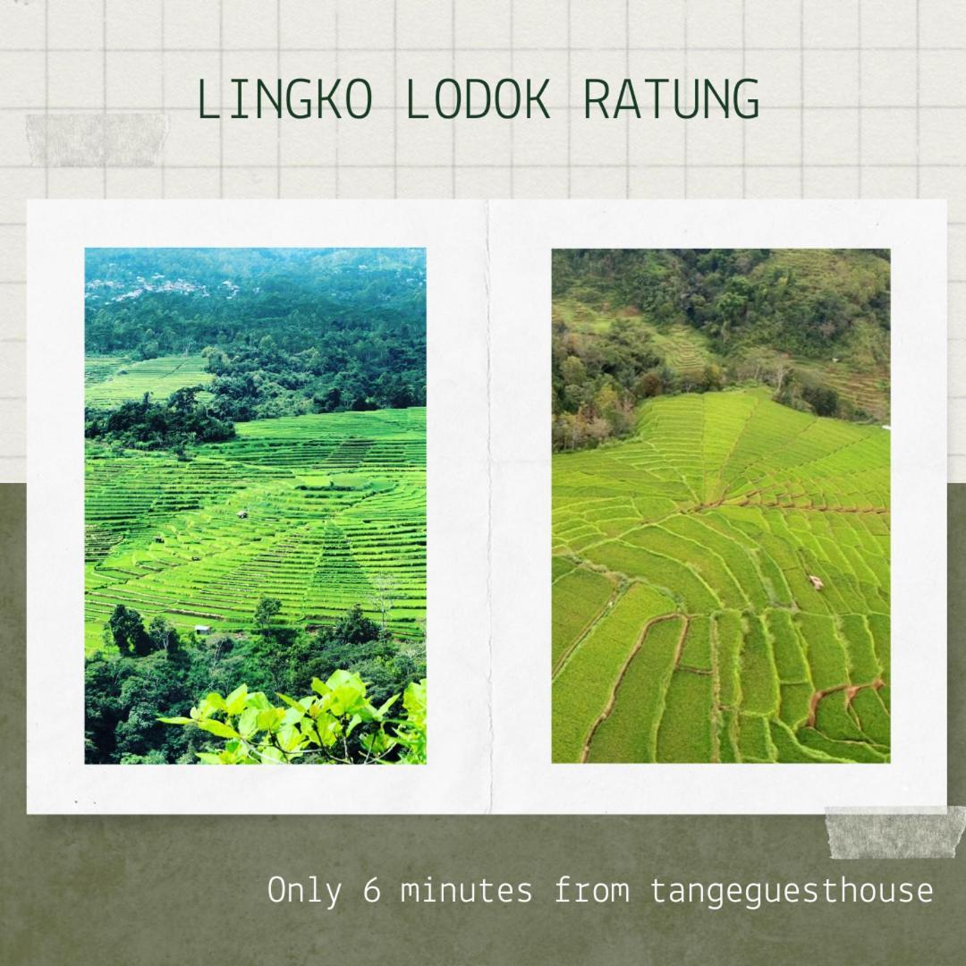 Tange Guest House Ruteng Buitenkant foto